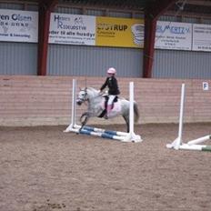 Anden særlig race Patricia