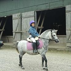 Anden særlig race Patricia