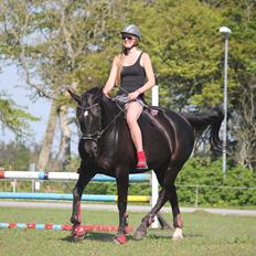 Oldenborg Cassiopeia (TUT)