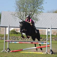 Oldenborg Cassiopeia (TUT)