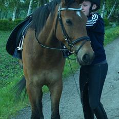 Anden særlig race | Simba |
