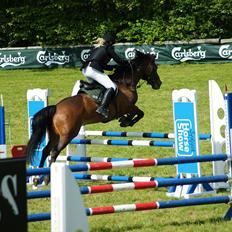 Anden særlig race Søvinds Zimba