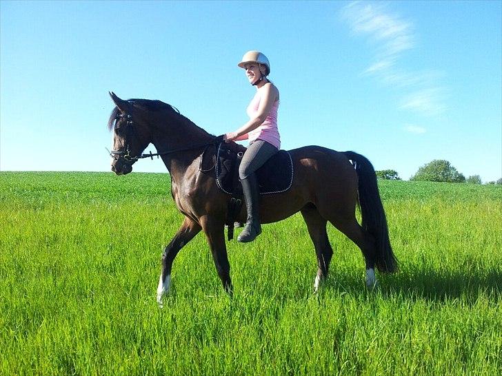 Anden særlig race Cosmo - 25/5-12 Linda ude ig aktivere Cosmo med en lille skridt tur. Uden sadel fordi han stadig vokser en del i øjeblikket, men er helt forfærdelig og have gående uden at han laver noget :-) billede 2