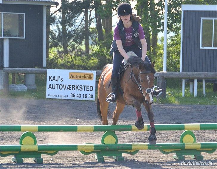 DSP - ELVITA <3 - "Det gælder ikke om at gøre tingene rigtigt, men at gøre de rigtige ting"

Deeeejlige pony er god til at bruge ryggen<3:-D 21 maj 2012. Foto Sofie billede 16