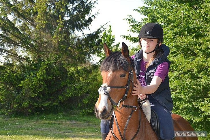 DSP - ELVITA <3 - "For nogen er kærlighed bare et ord, og for nogle er det et mysterium, og for nogle andre er det had, men for mig er det bare dig" 

Har jeg fortalt hvor meget jeg eeeelsker dig!<3 21 maj 2012. Foto: Sofie billede 2