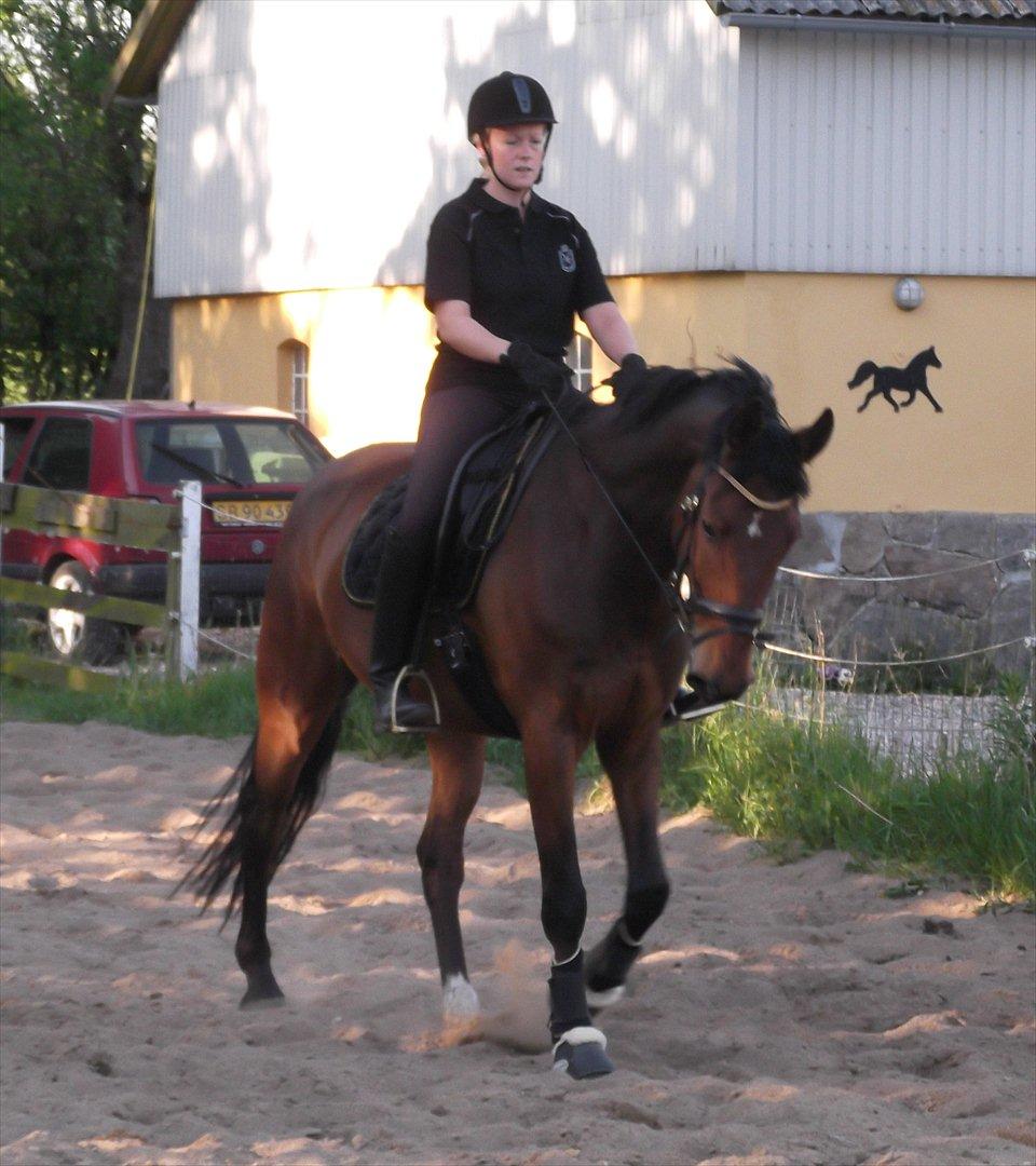 Anden særlig race Commando billede 2