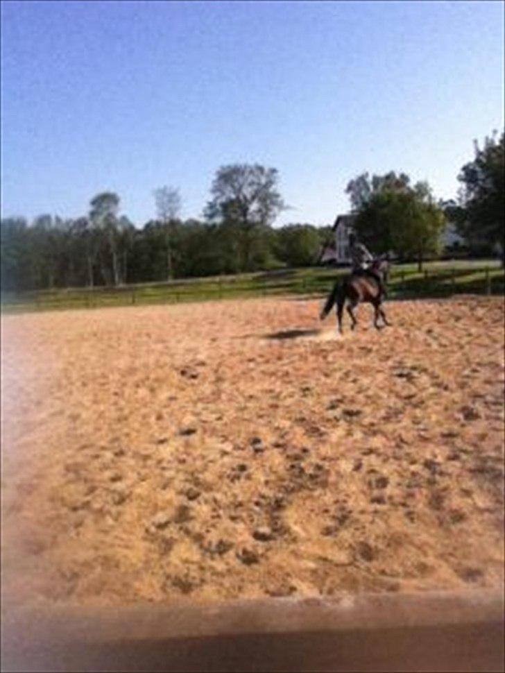 Anden særlig race Cirkeline - vaaarmt! billede 8