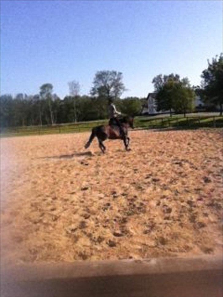 Anden særlig race Cirkeline - Uklart desværre.... tog det fra Facebook. billede 9