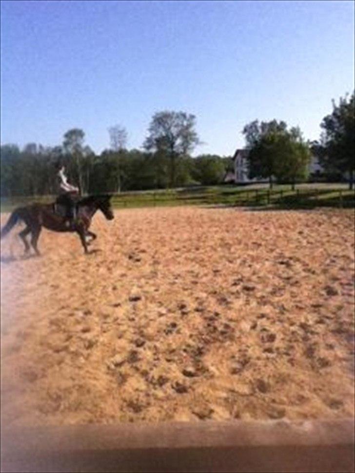 Anden særlig race Cirkeline - :) billede 10