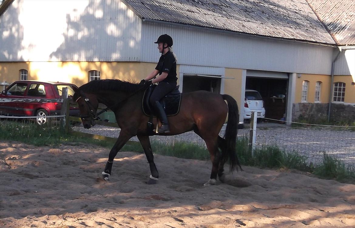 Anden særlig race Commando billede 6