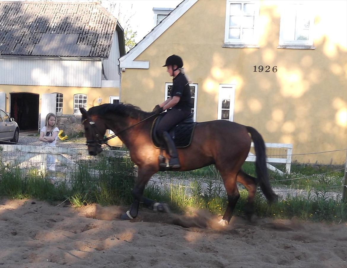 Anden særlig race Commando billede 8