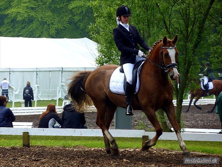 Anden særlig race Pyx Diamond. - gude-pony ♥
Mine drømme under mine øjenlåg, er også dukket op i min hverdag, begrund af dig! billede 9