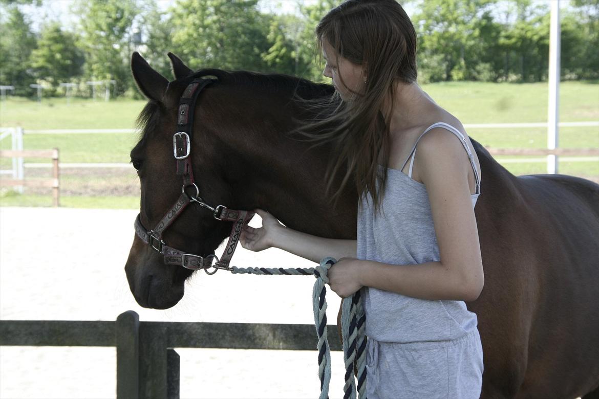 New Forest Starlight - Sidste dag med min engel<3 billede 17