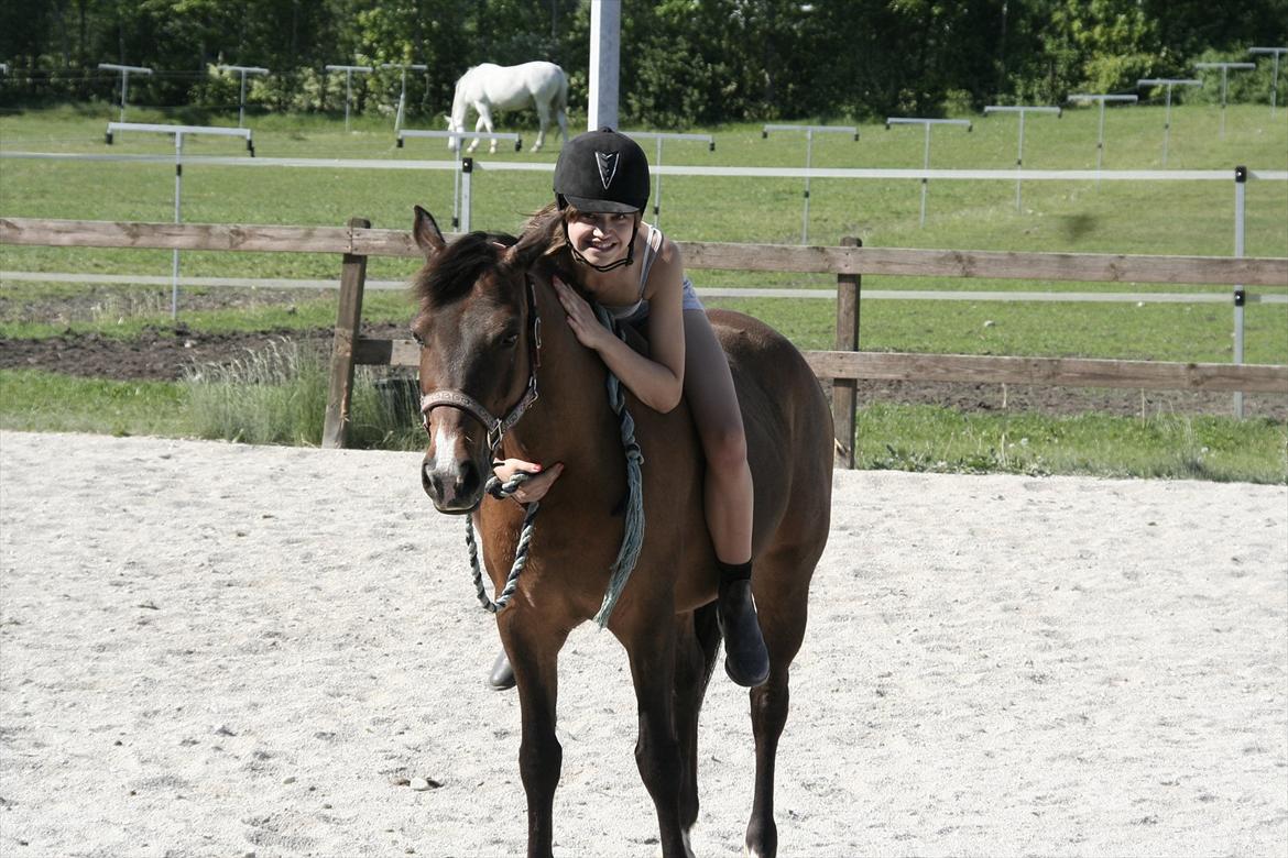 New Forest Starlight - Sidste dag med min engel<3 billede 18