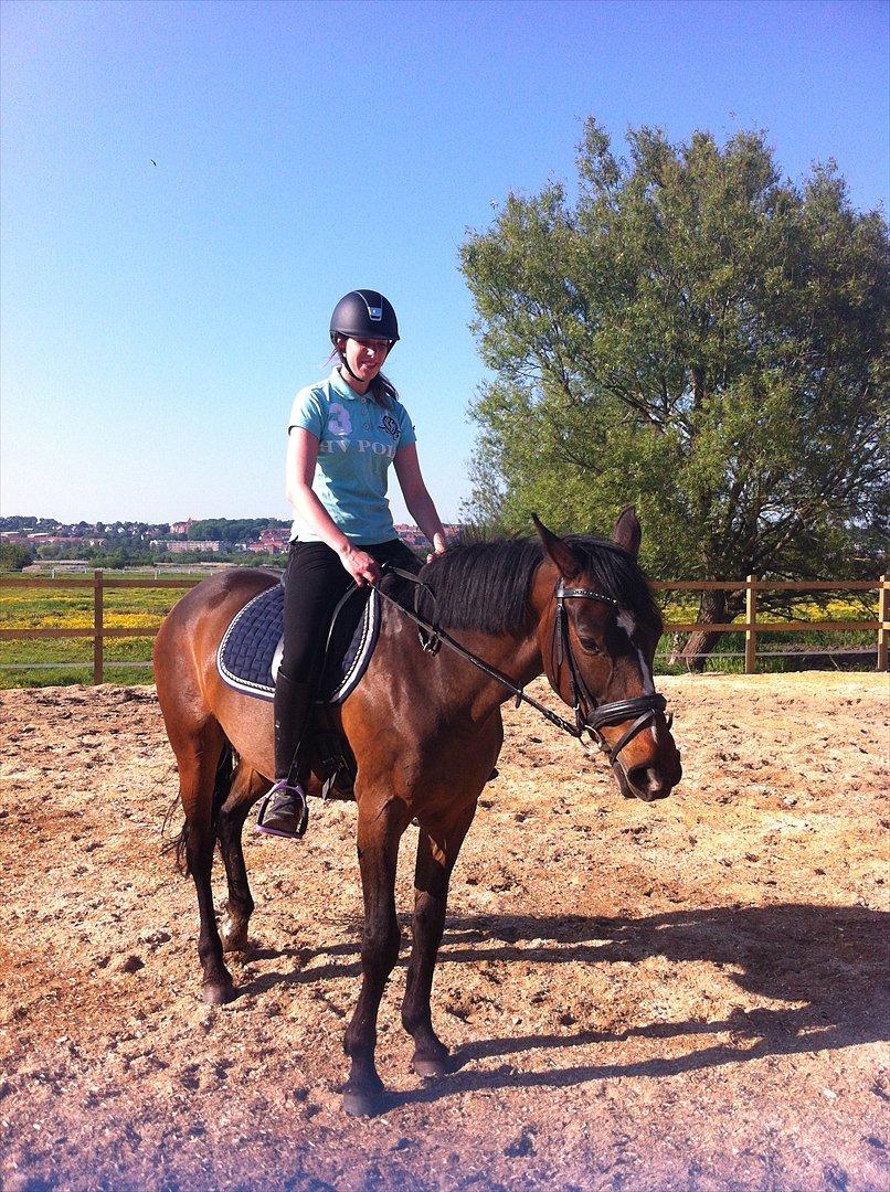 Anden særlig race Freja  billede 1