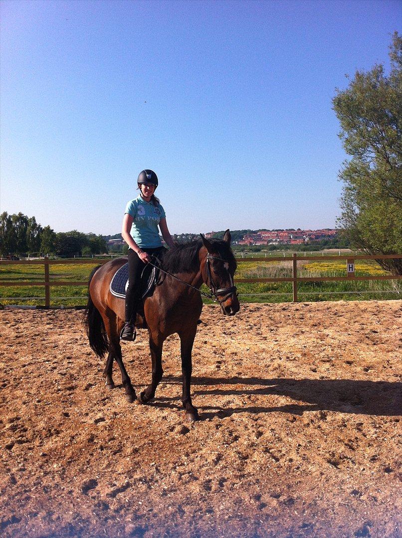 Anden særlig race Freja  billede 12