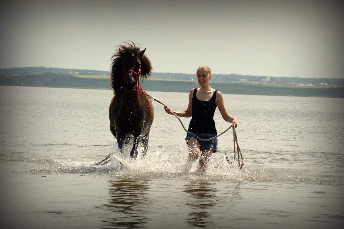 Islænder Steina <3 - I've fallen in love with you and I'll never let you go. I love you more than anyone, I just had to let you know. And if you ever wonder why, I don't know what I'll say, but I'll never stop loving you, each and every day. Glem aldrig det Steina <3 billede 1