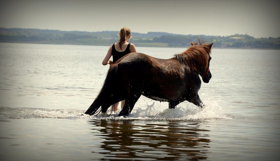 Islænder Steina <3 - Det er ikke svært at finde en der kan få dig til at smile, det er ikke svært at finde en der kan få dig til at græde. Kunsten er at finde en, der kan få dig til at smile med tårer i øjnene. <3 billede 5