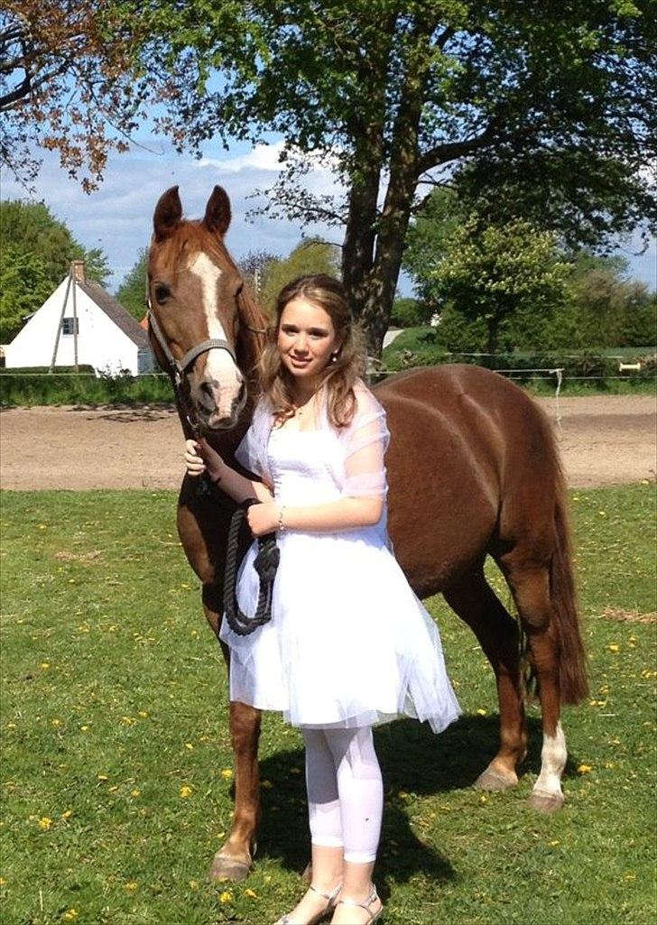 Anden særlig race Bella - Til min konfirmation. d 13 Maj 2012<3
Min smukke pony<3 billede 3