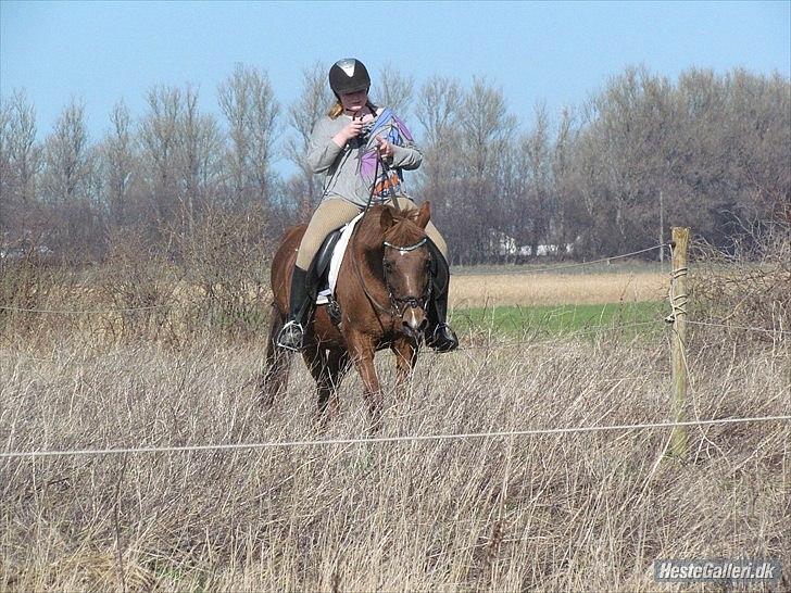 Anden særlig race Zephyr  - d. 23 marts 2012. billede 17