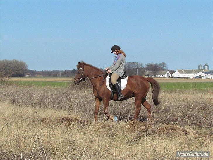 Anden særlig race Zephyr  - d. 23 marts 2012. billede 18