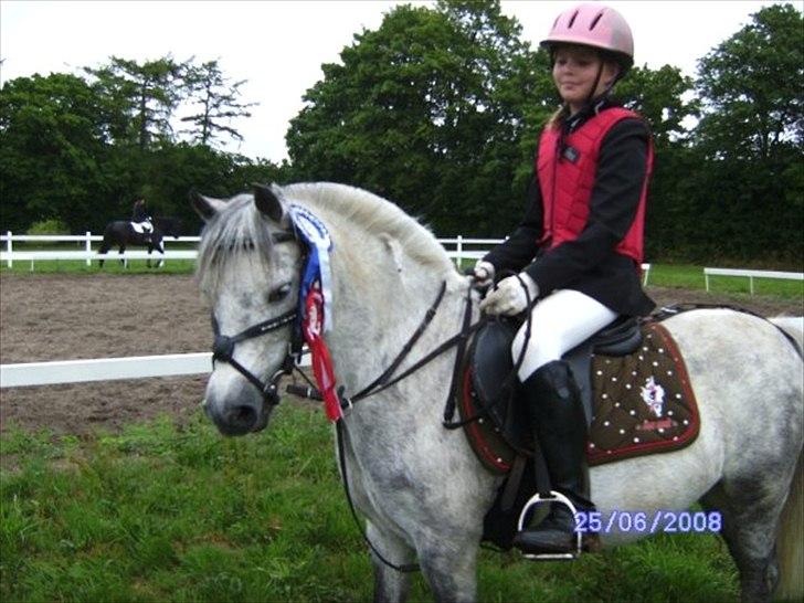 Anden særlig race Patricia - vinder af 50 cm. og nummer 2 i første 60 cm. billede 1