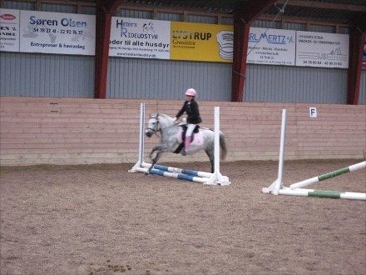 Anden særlig race Patricia - Første stævne efter seneskade. billede 2