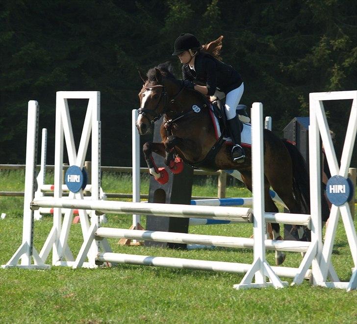 New Forest Equile's Maurita - Maurita, du betyder alt for mig <3 Du er så dygtig! Elsker dig min allerbedste ven! <3<3 LB* met. B0 på HIRI, fejlfri runde :D billede 4