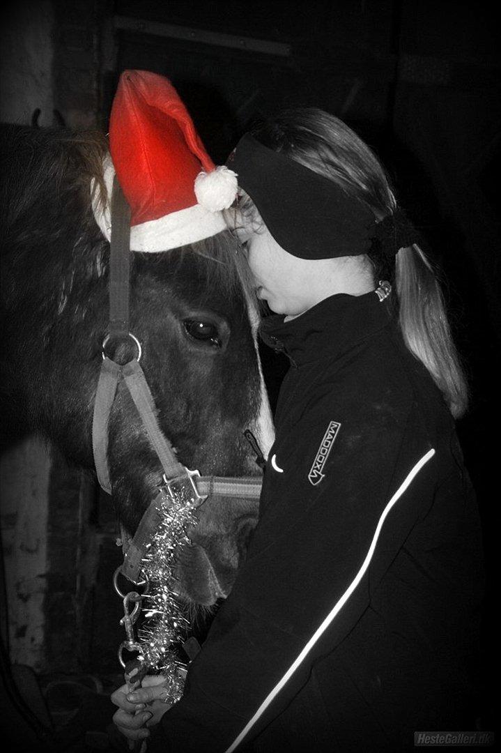 New Forest Sanchez | Morfar - Sidste jul med pony.. Gud hvor jeg dog savner dig, gnavpot :'( billede 2