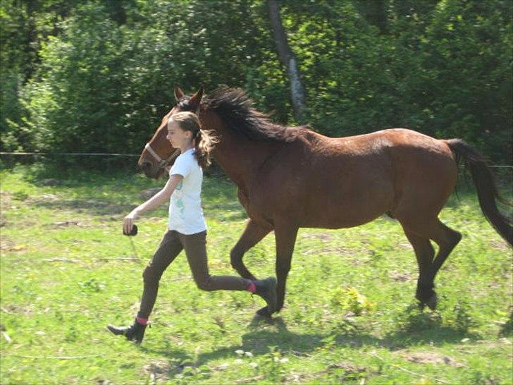 Traver Fame spirit - Det er hårdt at løbe:P billede 16