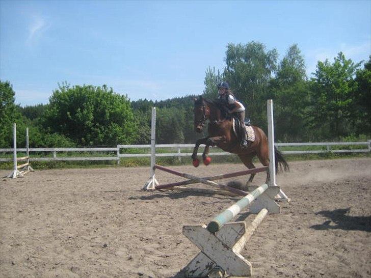 Traver Fame spirit - mit favorit billede<33 billede 20