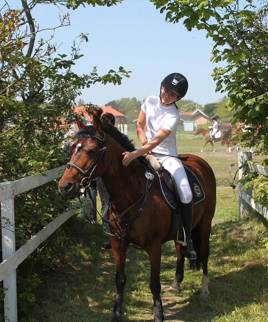 Anden særlig race Bianca billede 13