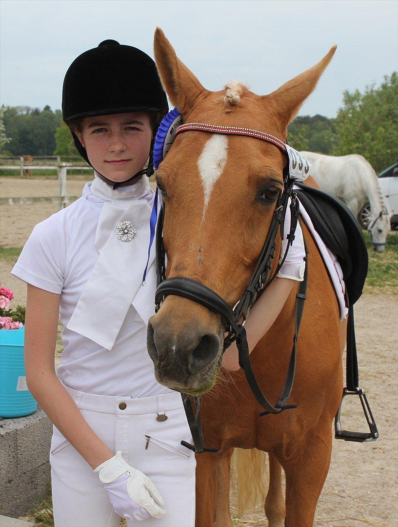 Hollandsk Sportspony Paula - 2. plads i første LA1 :-D elsker den pony <3 billede 9