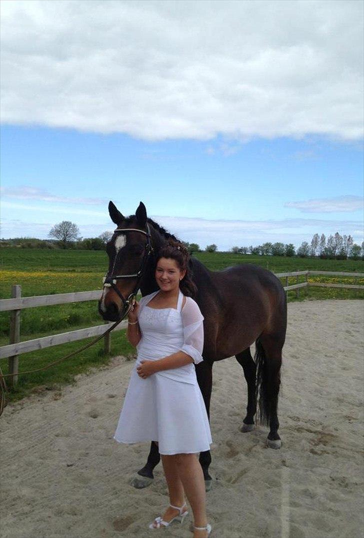 Dansk Varmblod Rønnemosens Lancelot - Min konfirmation 06-05-2012<3 billede 11