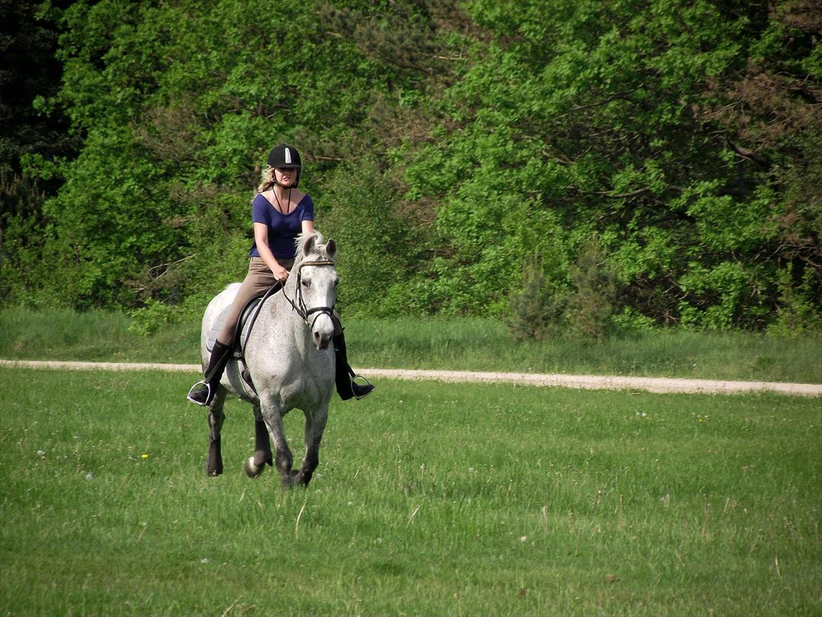 Anden særlig race Højgårdens Tess<3 Lille grå:) - Lige en frisk jordetur:)<3 billede 16