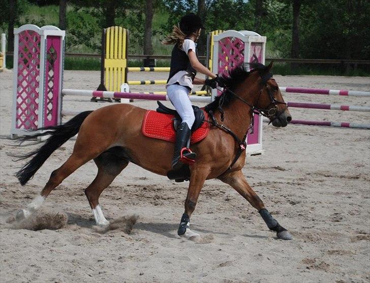 Anden særlig race Ferrari - Ferrari på Barthahus <3 Lb** 3 plads billede 4