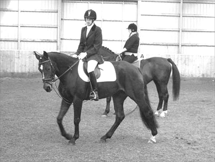 Anden særlig race Freja  billede 6