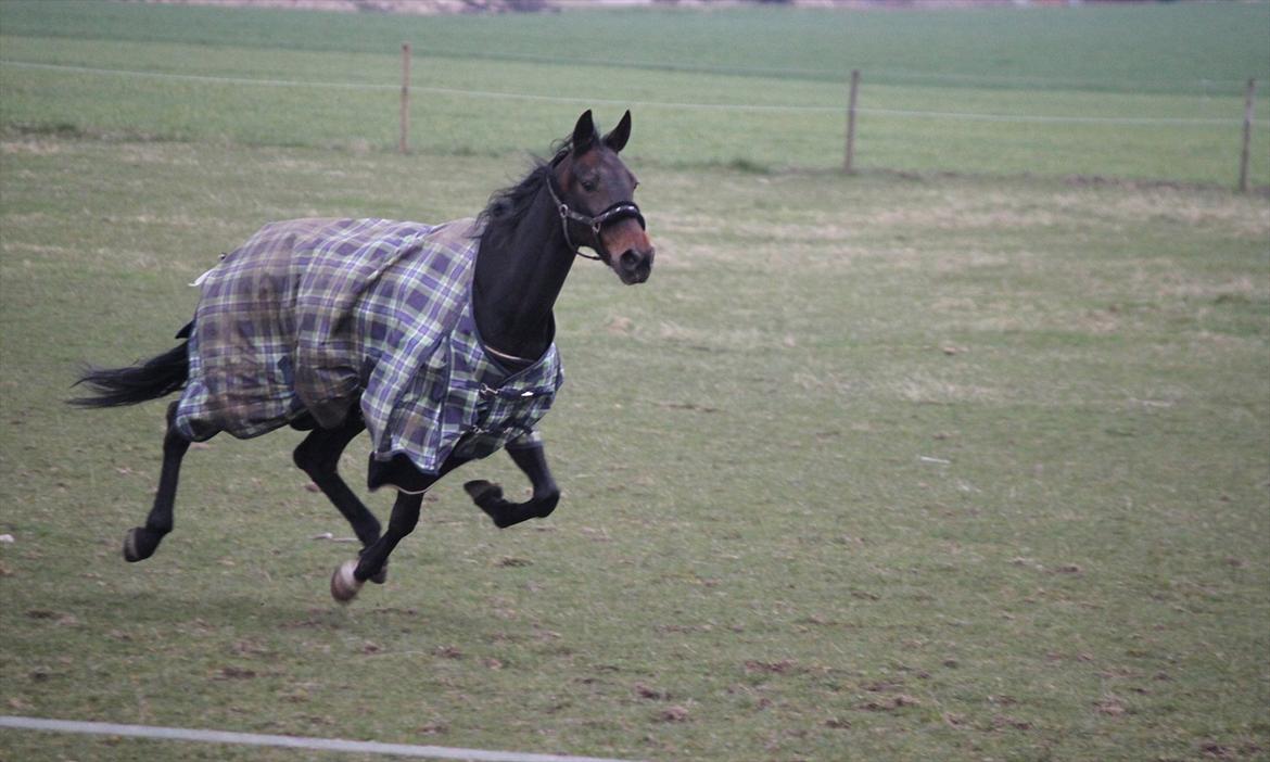 Traver Ofelia M <3 billede 2