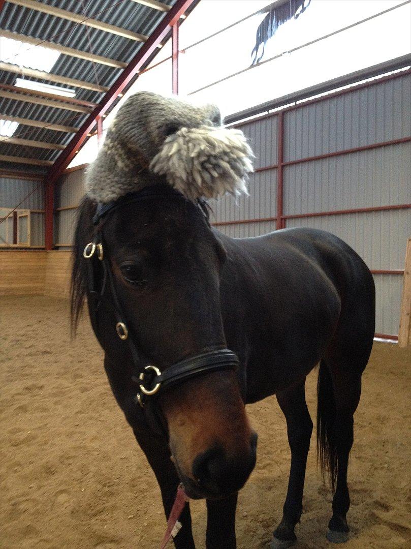 Traver Ofelia M <3 billede 3