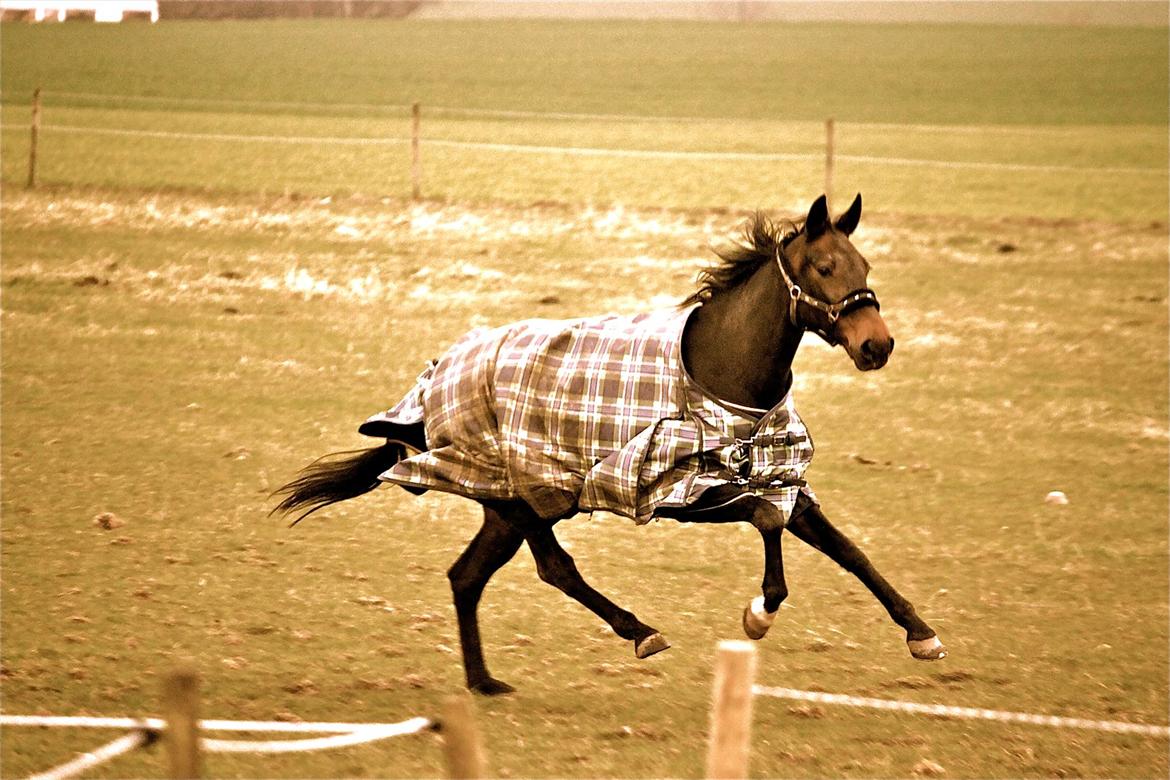 Traver Ofelia M <3 billede 4