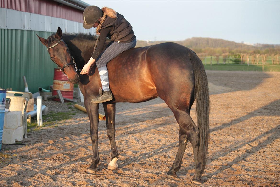 Traver Ofelia M <3 billede 6