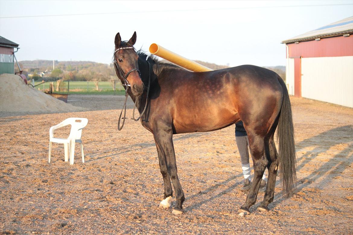 Traver Ofelia M <3 billede 7