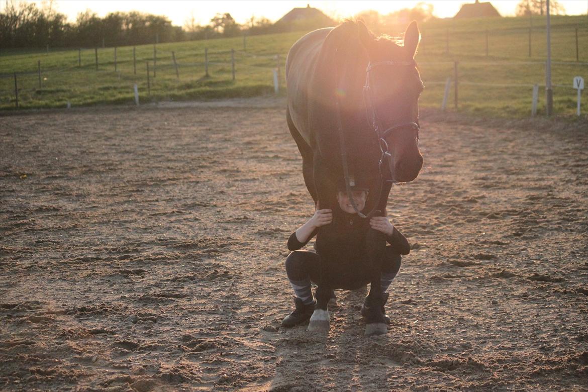 Traver Ofelia M <3 billede 10