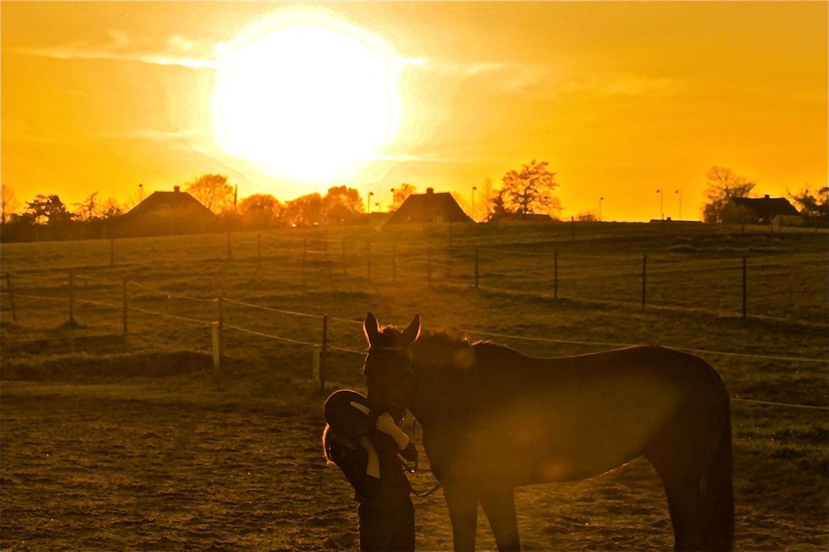 Traver Ofelia M <3 billede 11