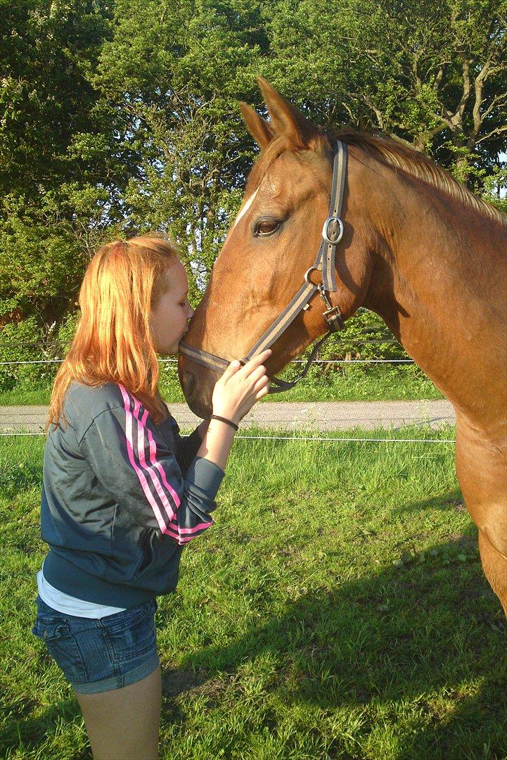 Anden særlig race Fox (Foxi) billede 8