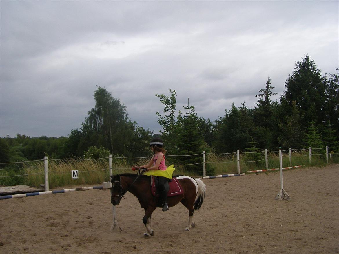 Pinto Miss Dixie - Kugleridning/ponygames. :P billede 5