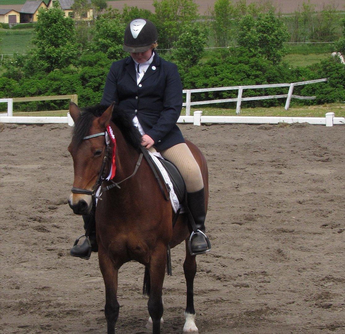 Anden særlig race Bitteby's Tulle.  - 1 plads. LC-klasse, LC1 til 62,91% d. 27/05-12. billede 17