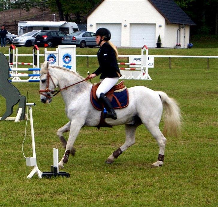 Anden særlig race BOBBY - Bobby & Jeg - Morsø 2012. (RSA Foto) billede 1