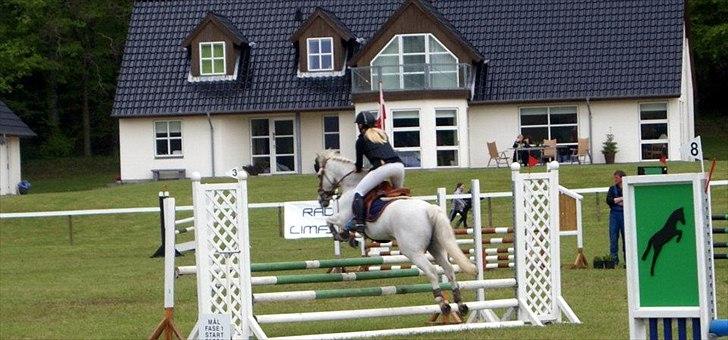 Anden særlig race BOBBY - Bobby & Jeg - Morsø 2012. (RSA Foto) billede 18