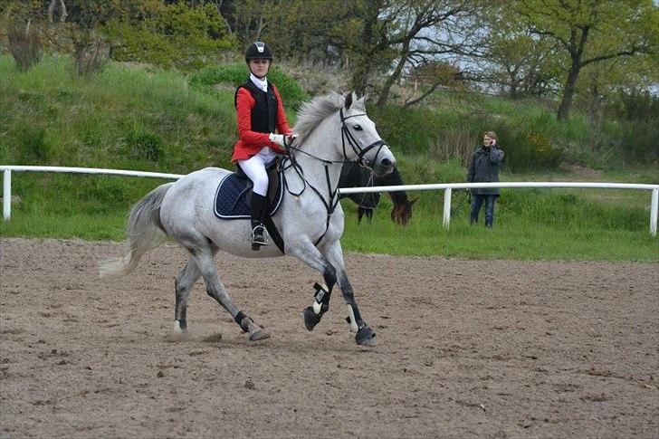 Anden særlig race Moody Bluse - Vores sidste stævne sammen<3. billede 11